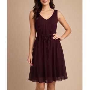 Axcess V-neck Sheer Raisinberry Purple Shiffon Dress Size 8 Tie Waist NWT Formal